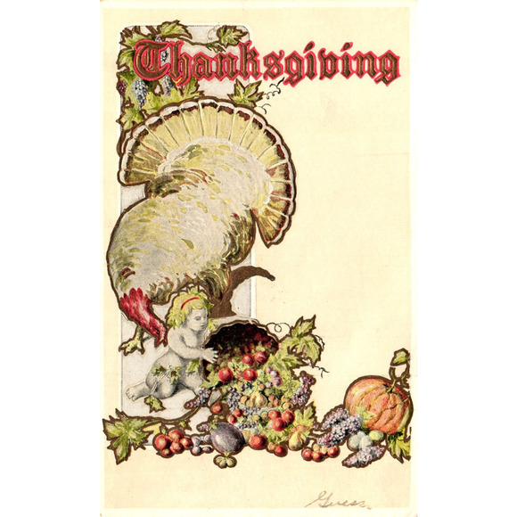 Other - Postcard Thanksgiving Baby with Cornucopia Turkey Embossed Greetings c1907